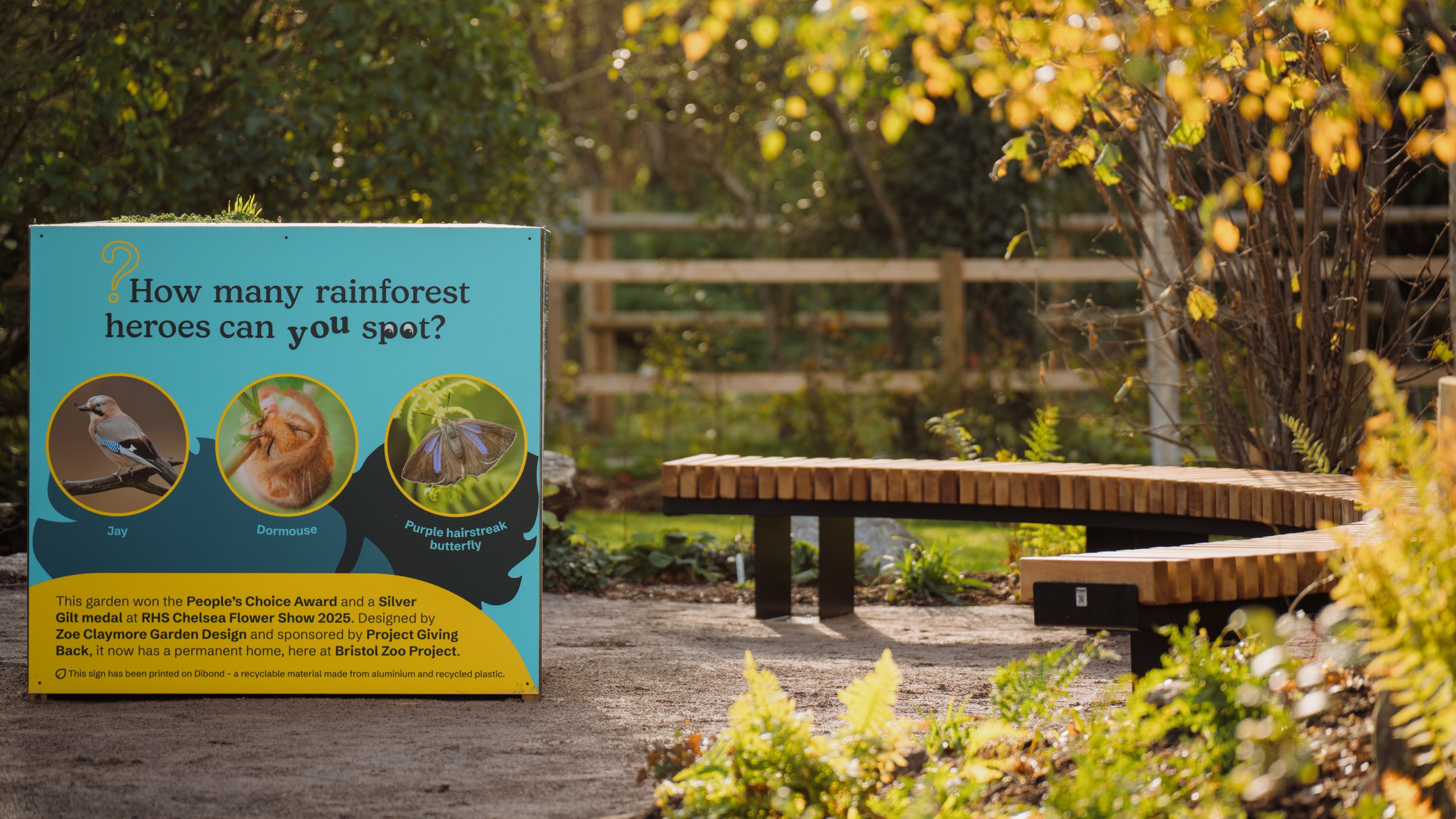 Educational sign in Bristol Zoo’s temperate rainforest garden with illustrations of a jay, dormouse, and butterfly, next to a curved wooden bench surrounded by plants.