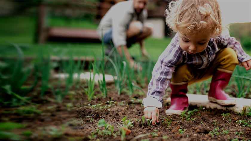 A small child outdoors gardening