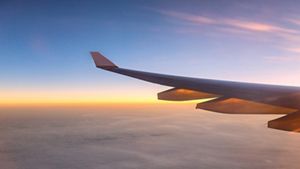 Aeroplane wing