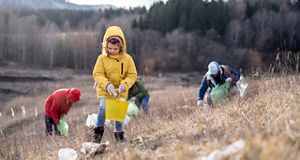 litter picking
