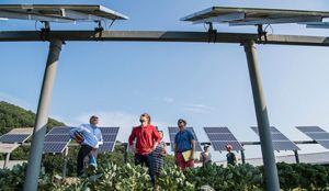 Solar panels