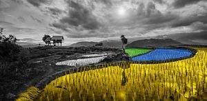 Resilient snow plough
