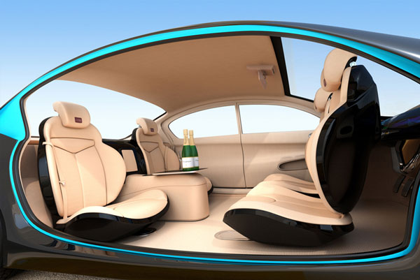 Carmaker chameleons