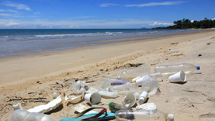 plastic on the beach