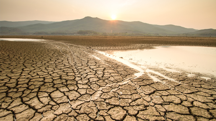 dry land cracking