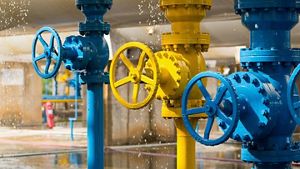 Gas plant valves