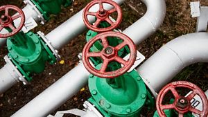 Gas plant valves