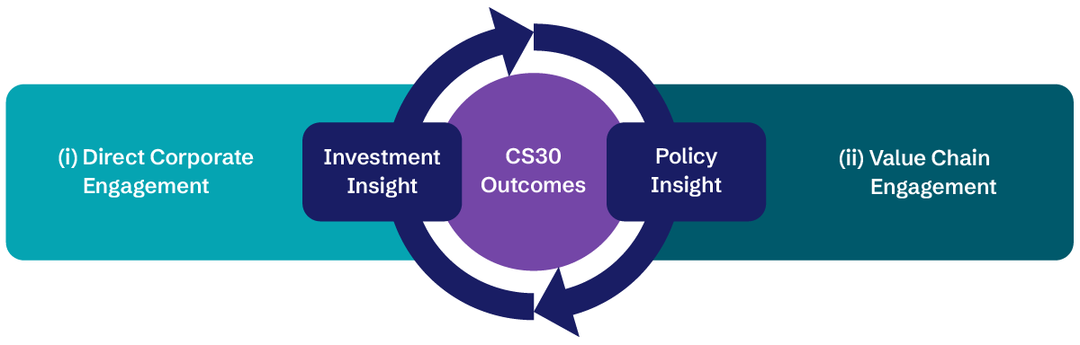 CS30 Programme