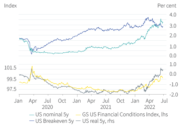 Figure 3. Real yields driving financial conditions tighter