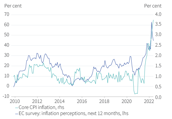 Figure 14. European inflation expectations up sharply…