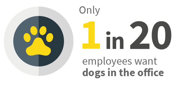 dogs in the office