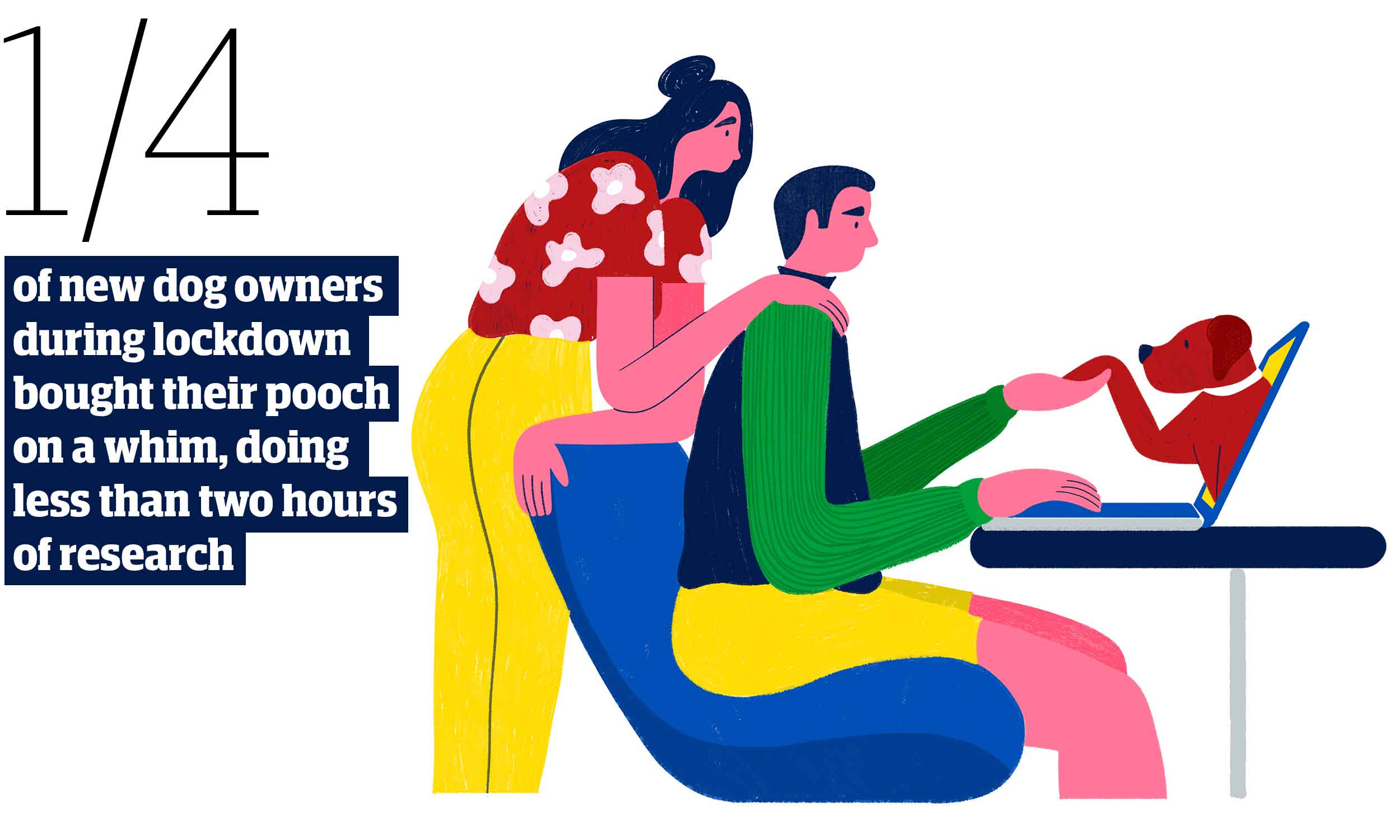 stat showing quarter of dog owners during lockdown purchased with less than 2 hours of research