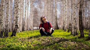 Person sat on the grass in woodland, surrounded by trees, looking up at the sun, deep in thought.