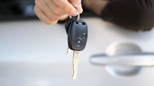 Your vehicle