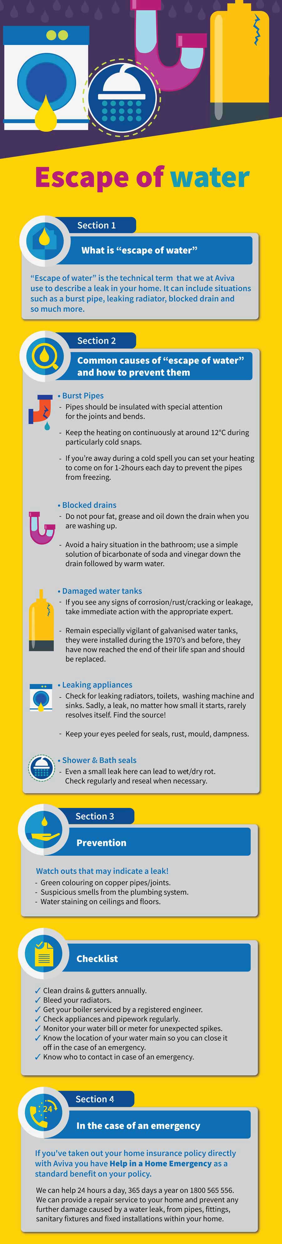 Water leaks infographic, causes and prevention