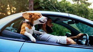 Aviva Car Insurance Discounts for Loyalty Drivers – Multicar discount – Man with dog in front of blue car