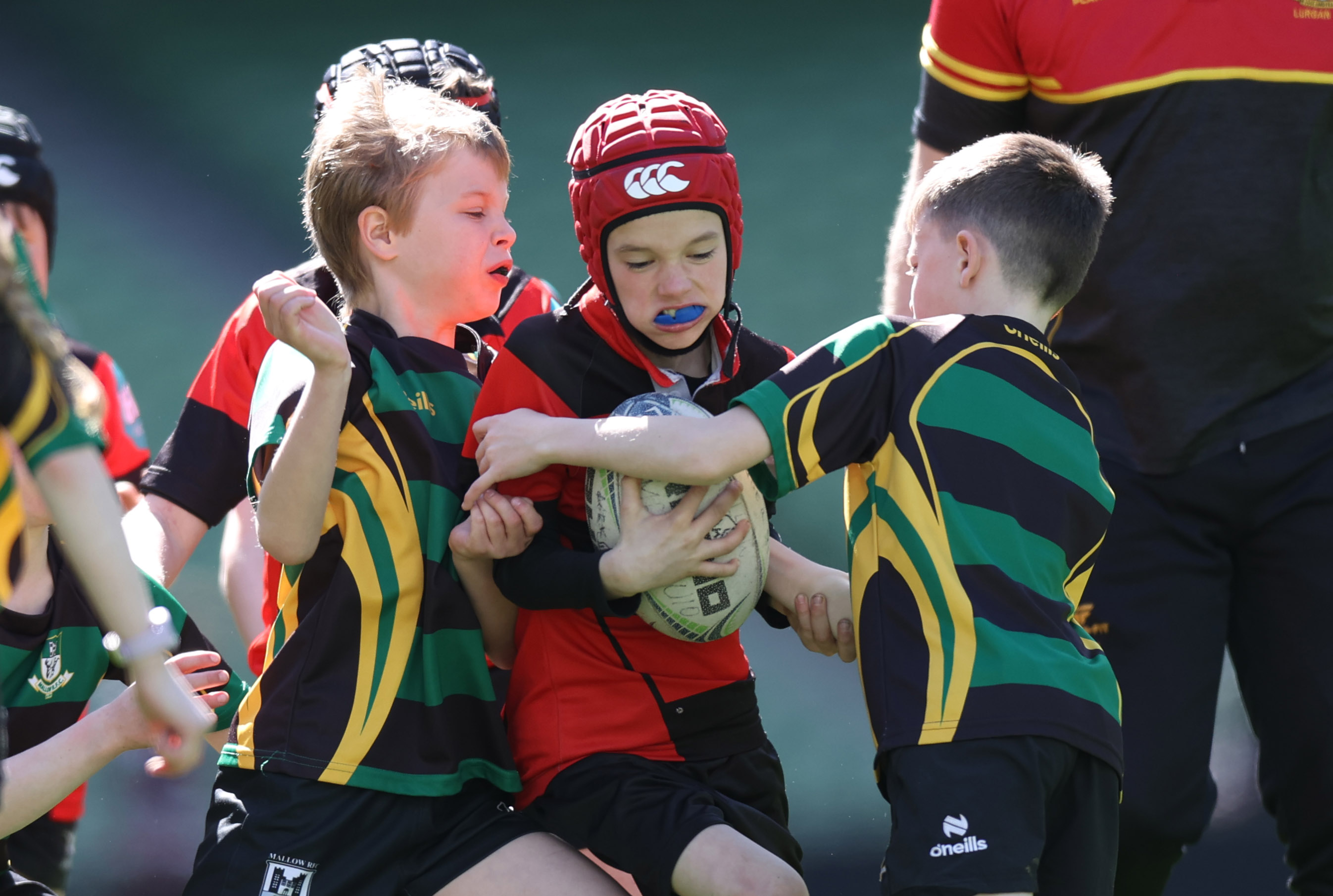 Aviva Mini Rugby National Festival