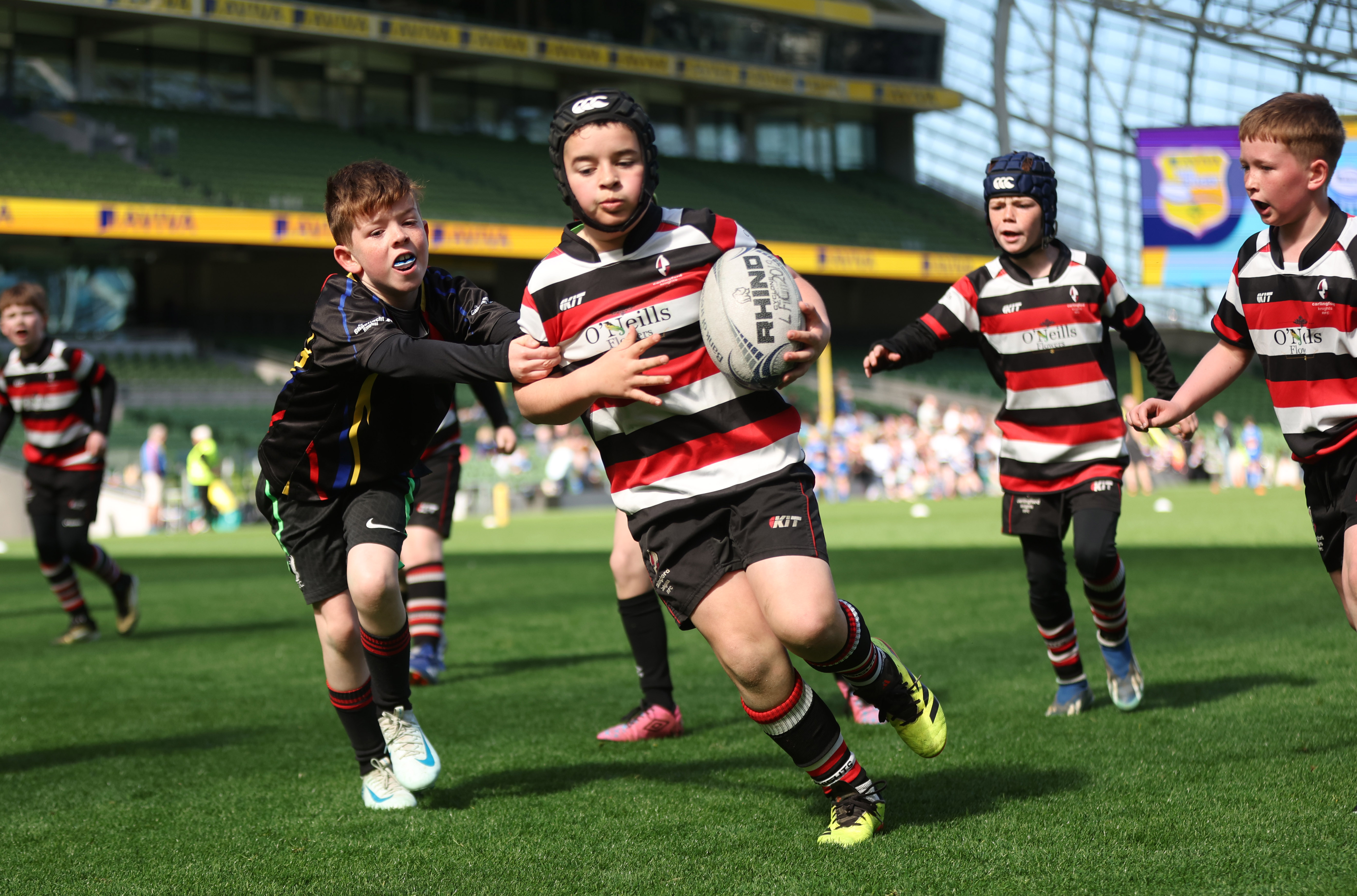 Aviva Mini Rugby National Festival