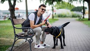 Man sitting on a park bench with dog