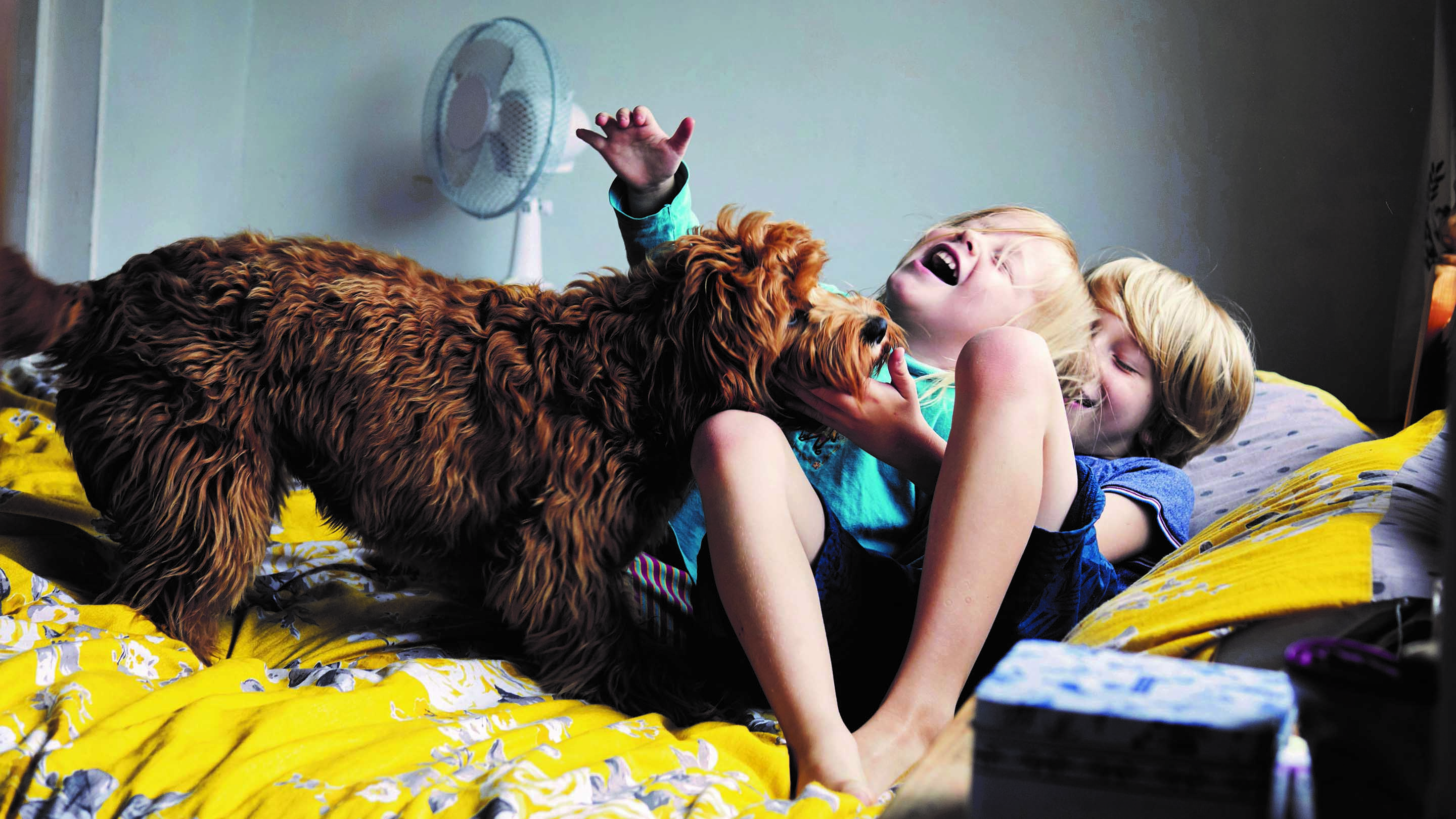 Children playing with dog on bed