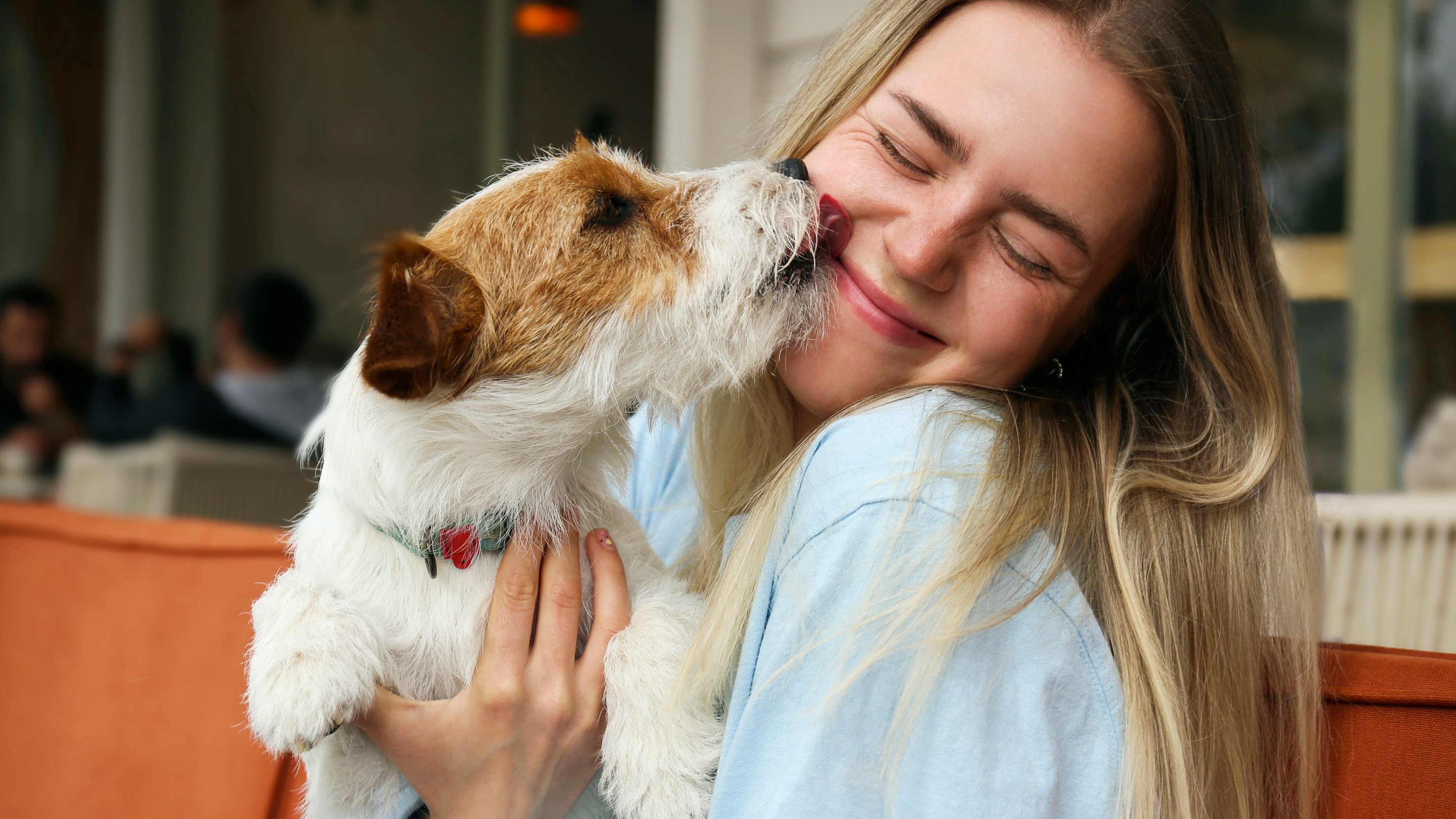 Dog licking owner