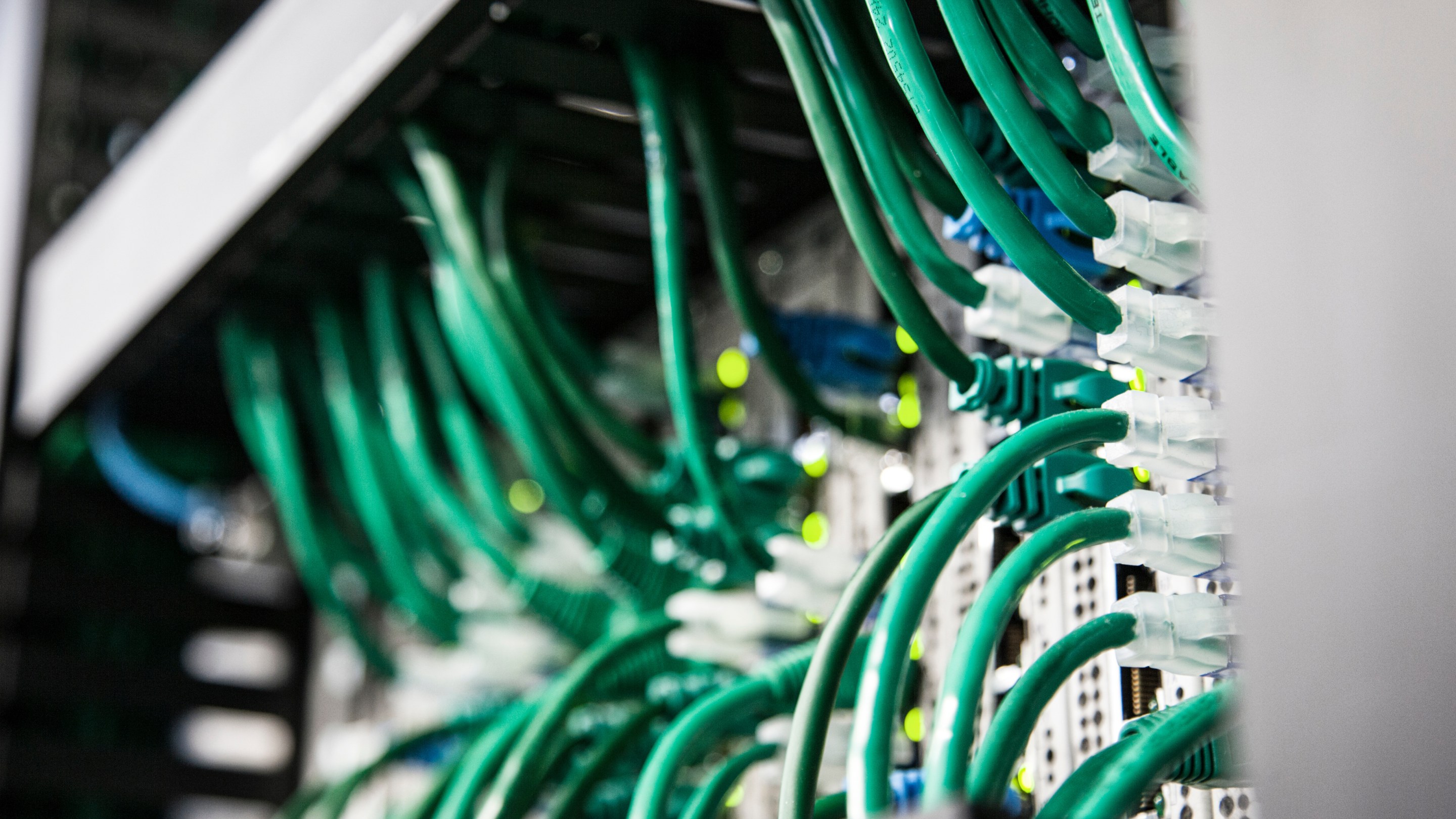 Close-up view of green network cables connected to a server rack.