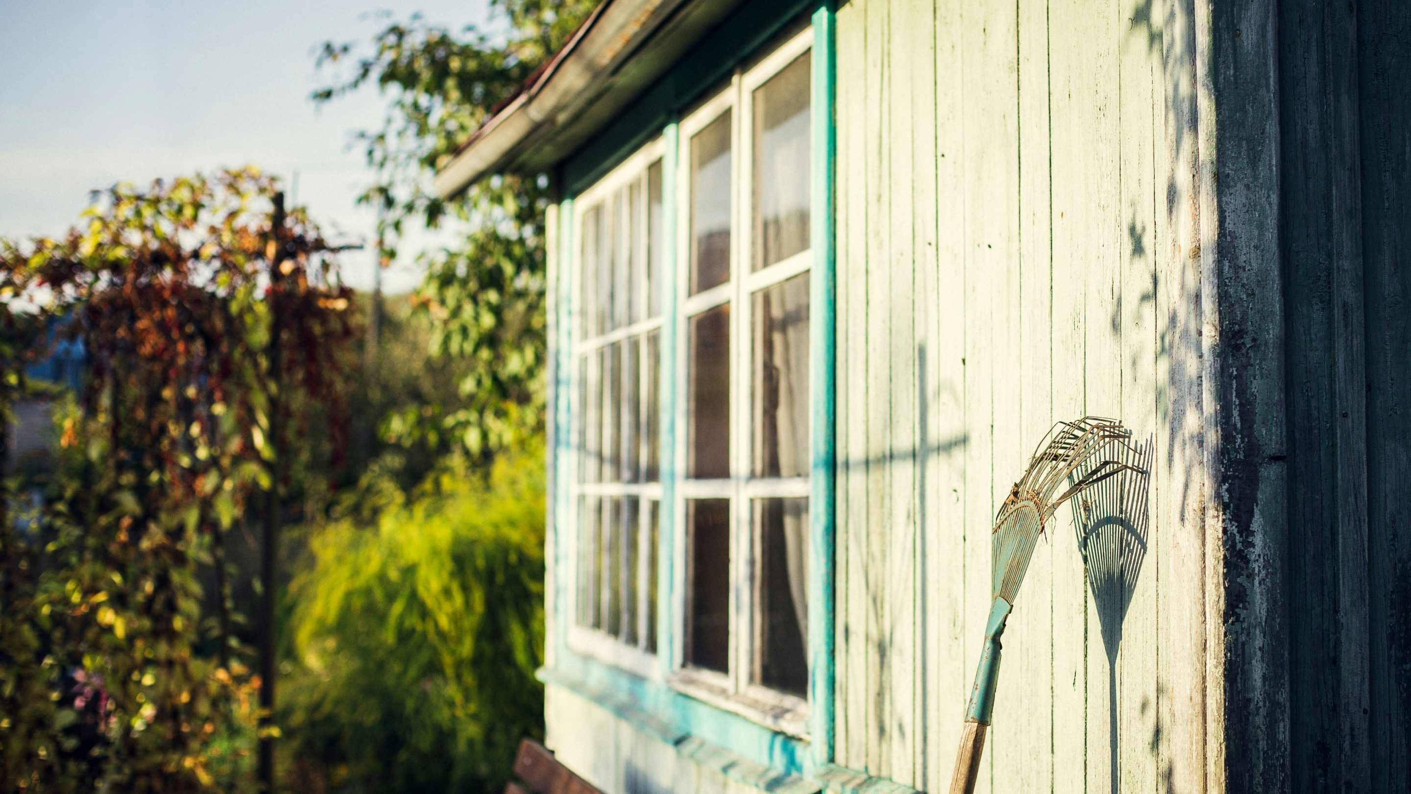 Light green garden shed with a garden rake lent up against it