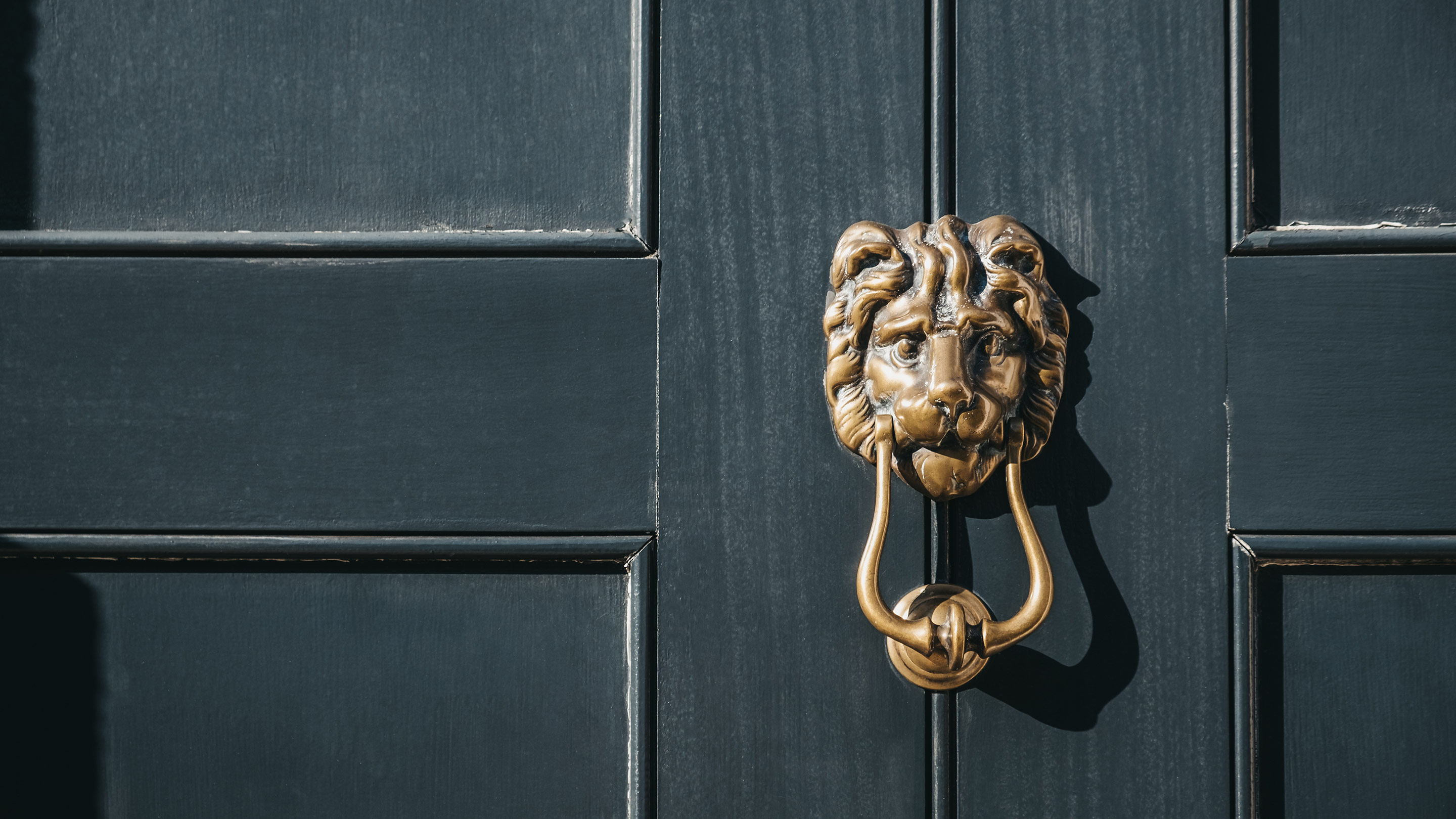 Close up of a lion's head door knocker on a black door