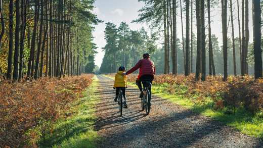 Young child cycling in the forest with their father on a sunny day