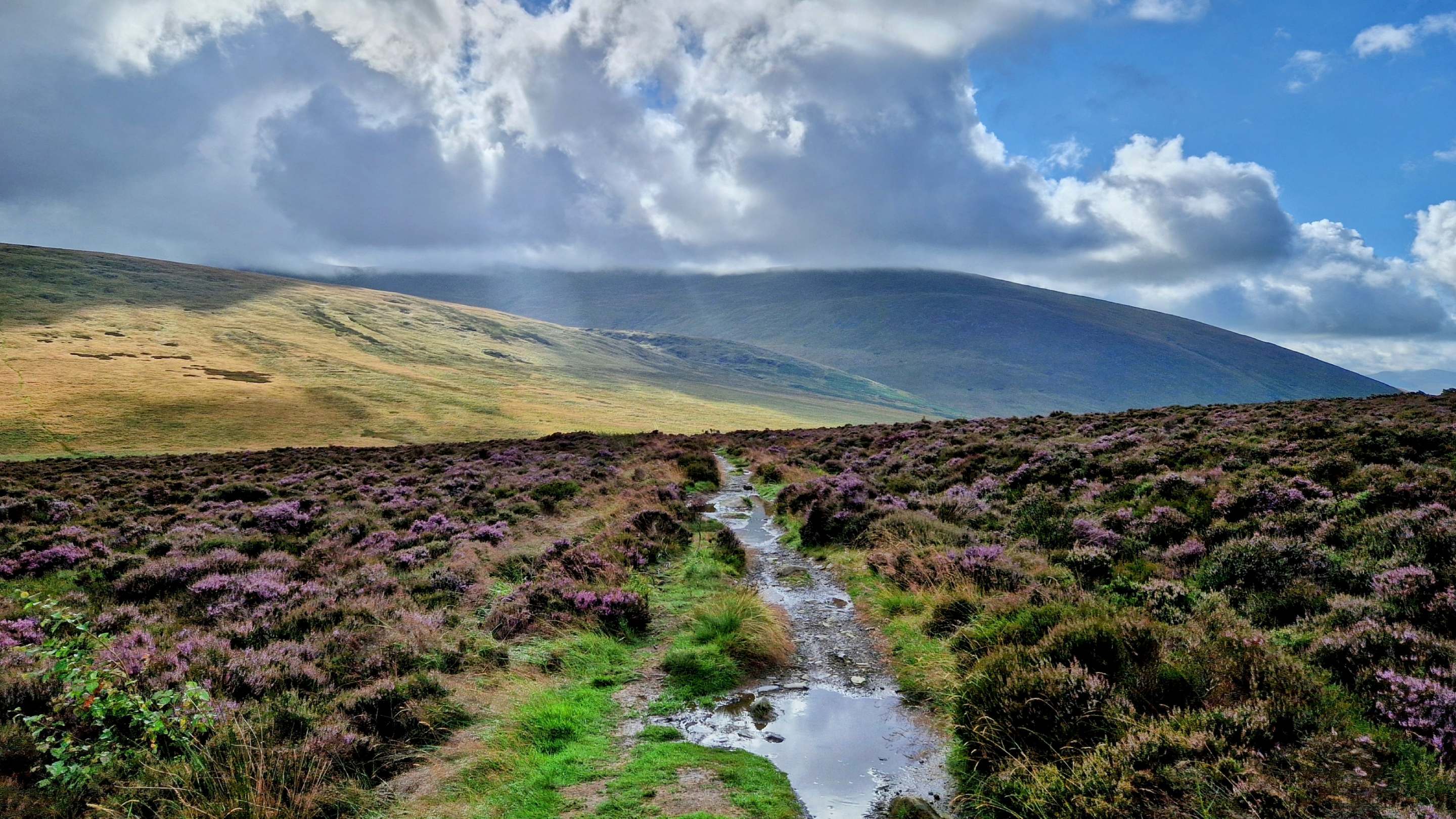 Skiddaw