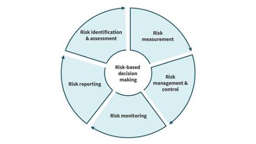 Risk management process graphic
