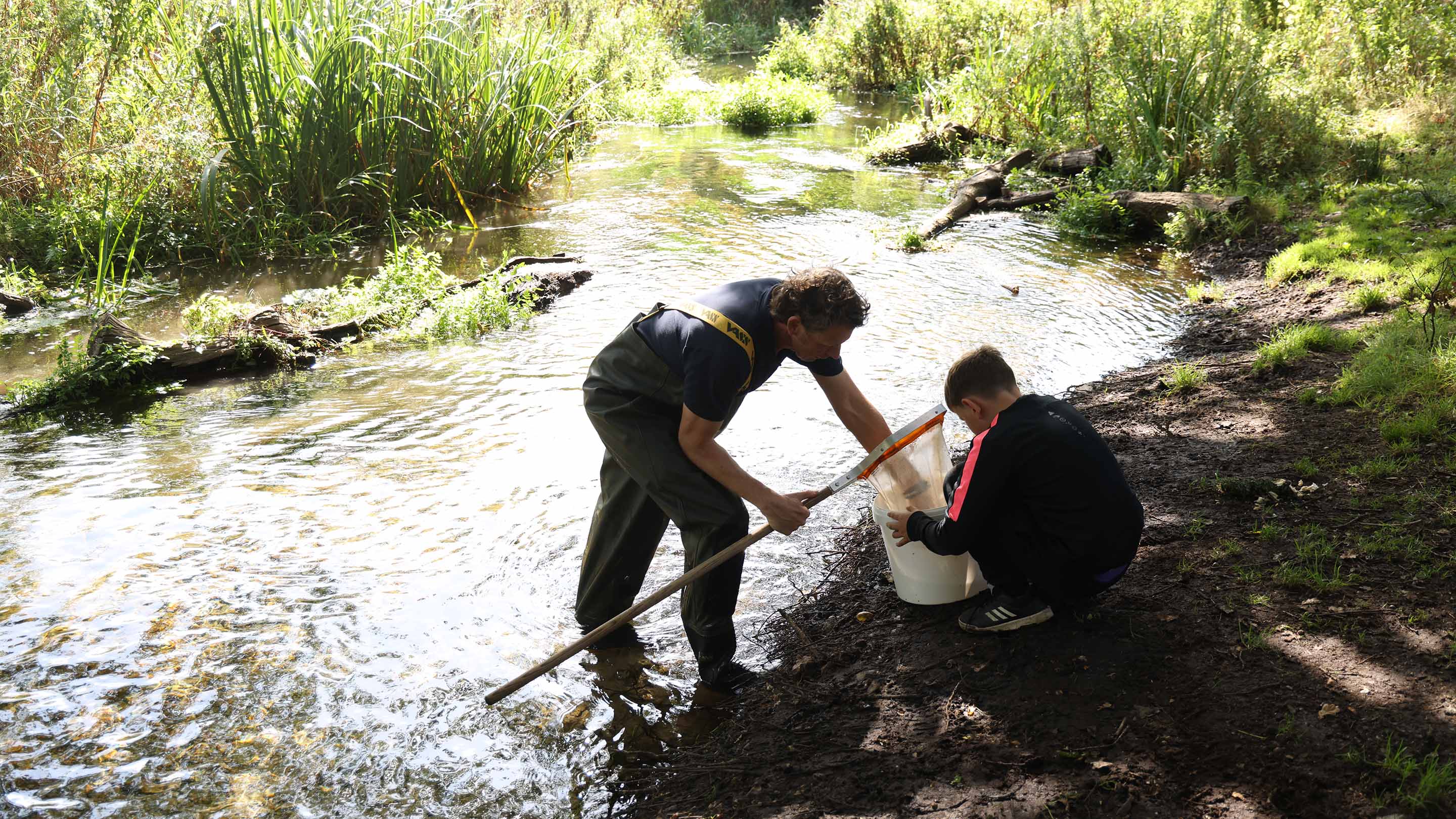 Tim from Norfolk Riovers Trust shows a child the wildlife from the river