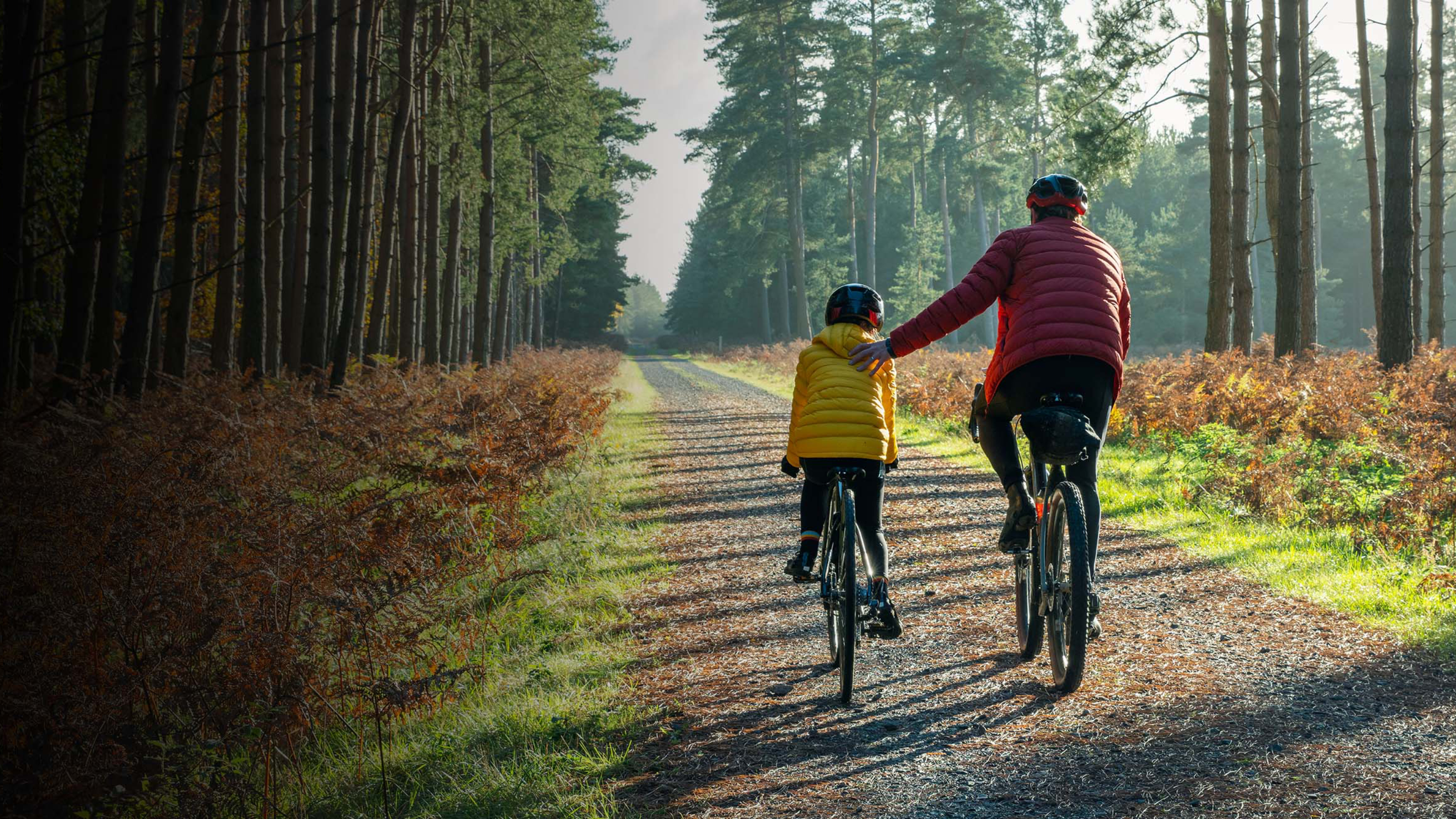 Father and son biking along a forest path