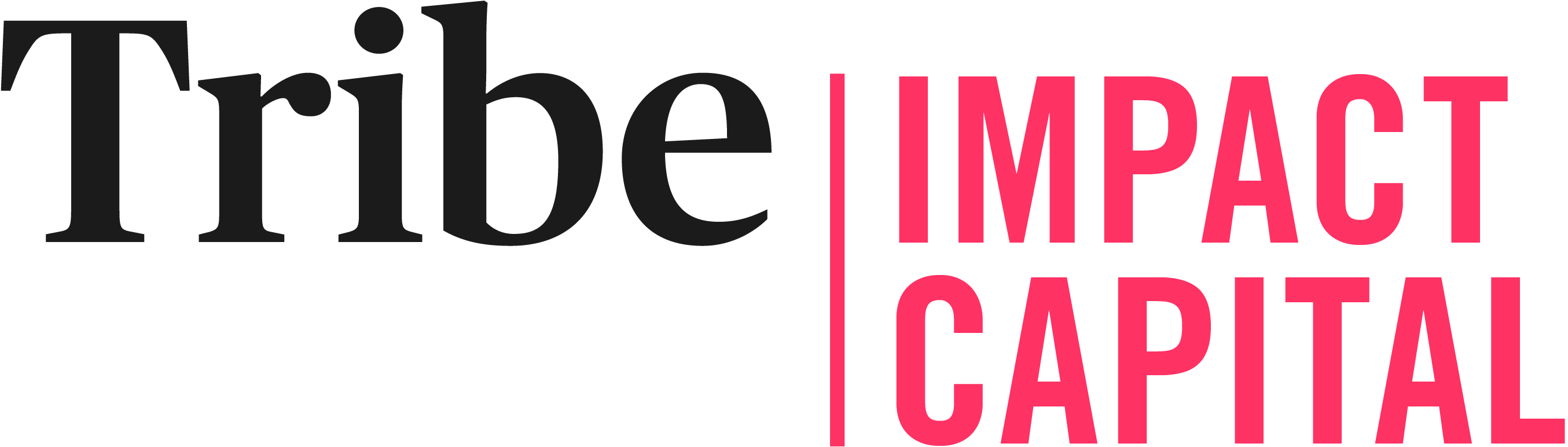 Tribe Impact Capital DFM logo