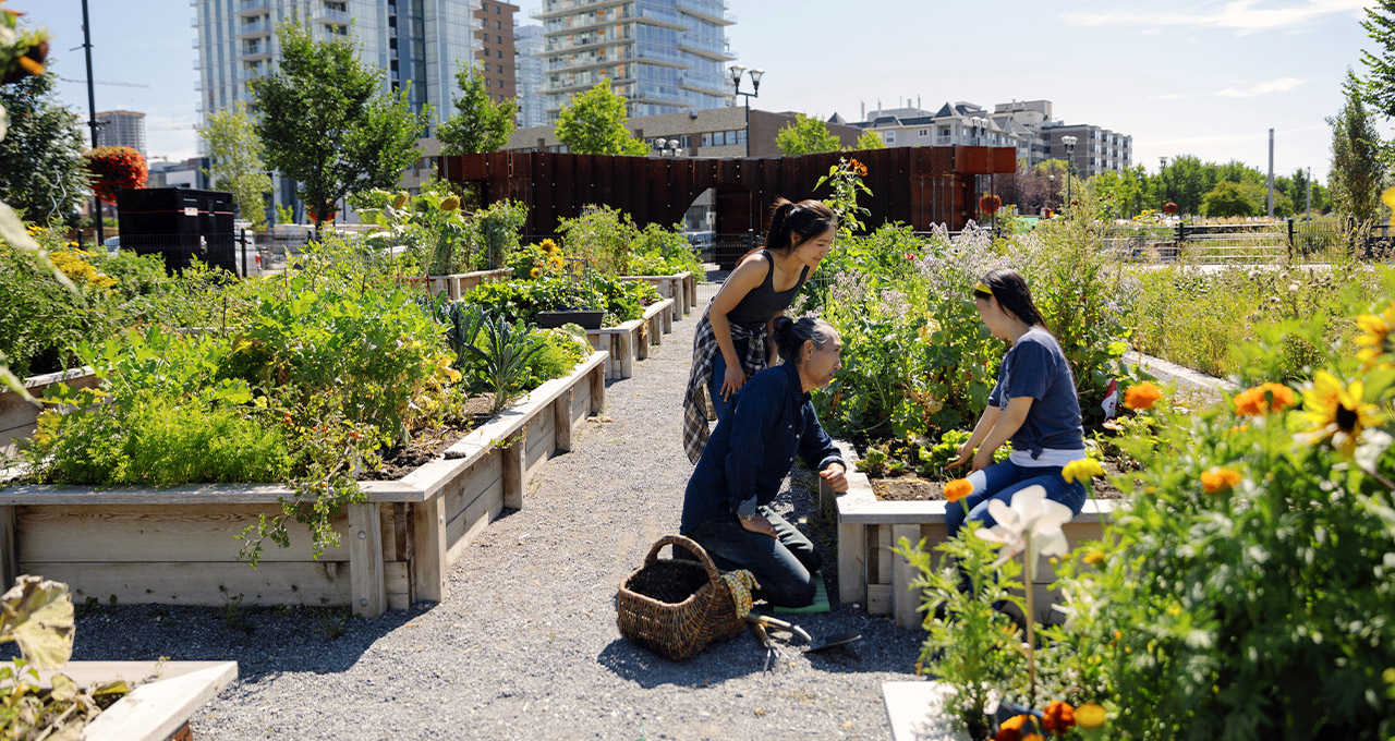 people in city garden