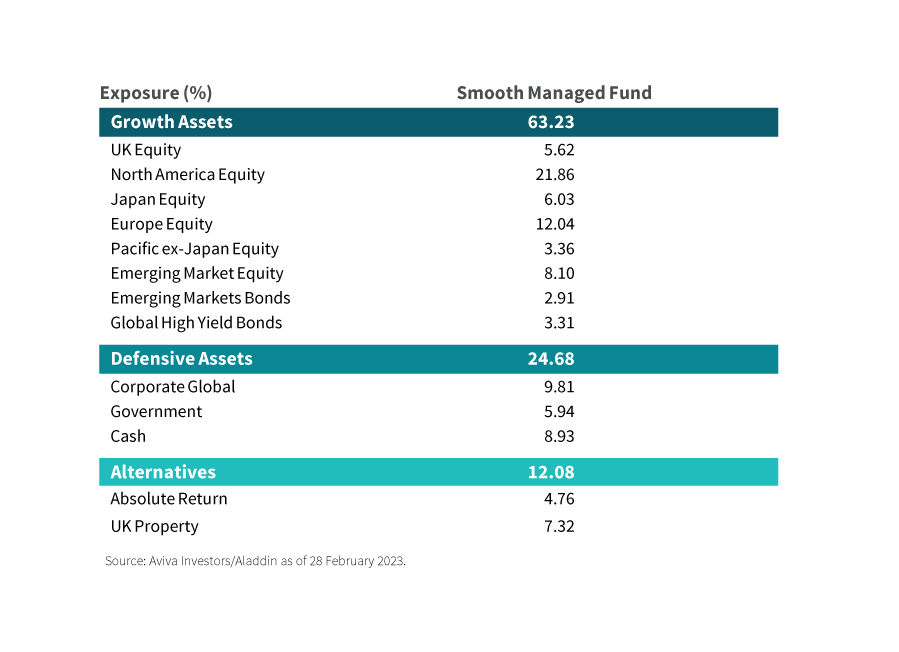 SMF Pension Fund asset allocation