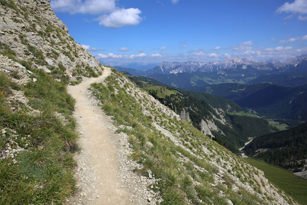 picture of hillside pathway