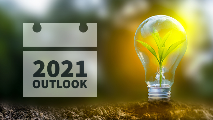 Selectivity, sanctions and decarbonisation: The outlook for emerging market equities in 2021