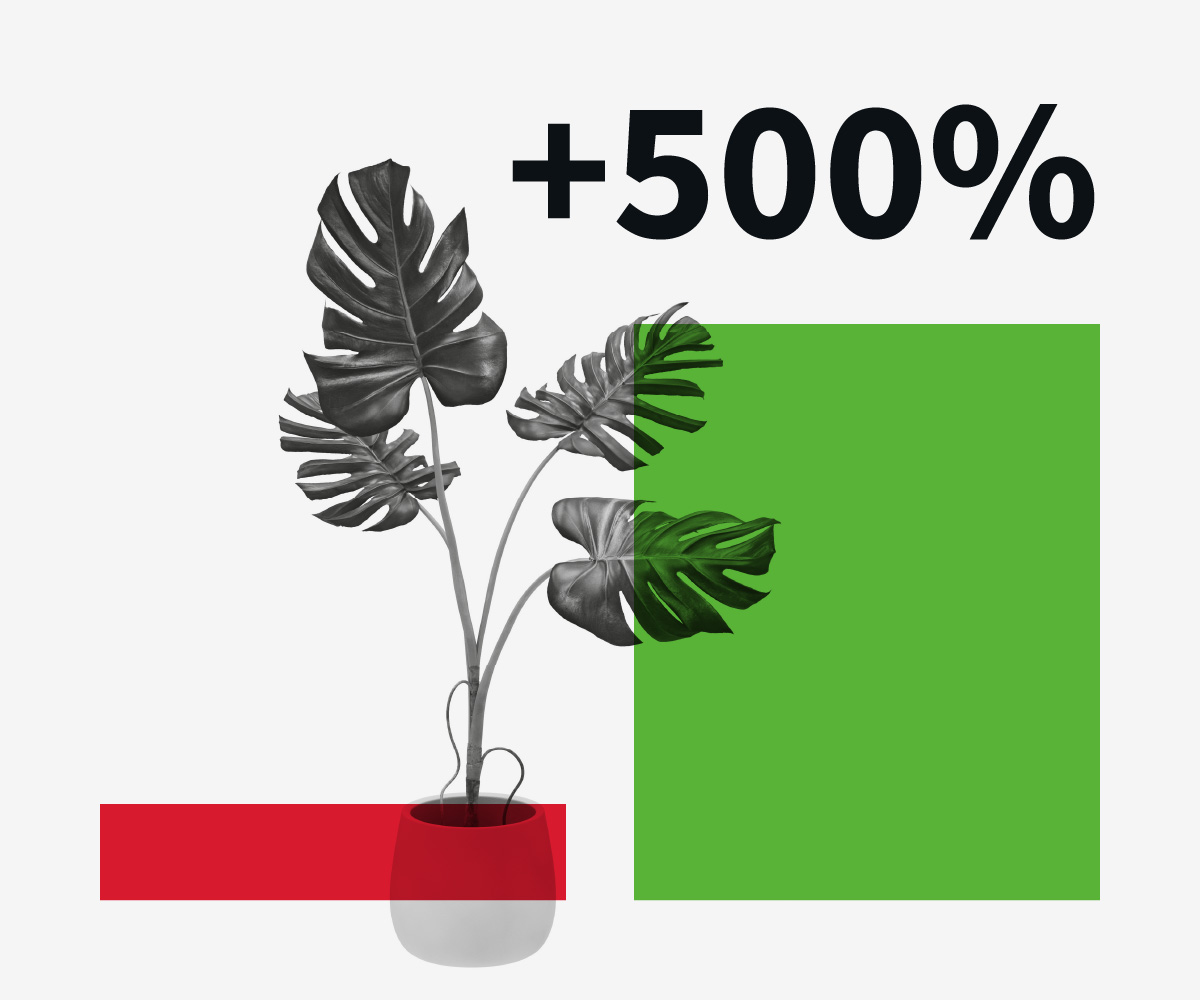 Plants, UK online sales, up 500%