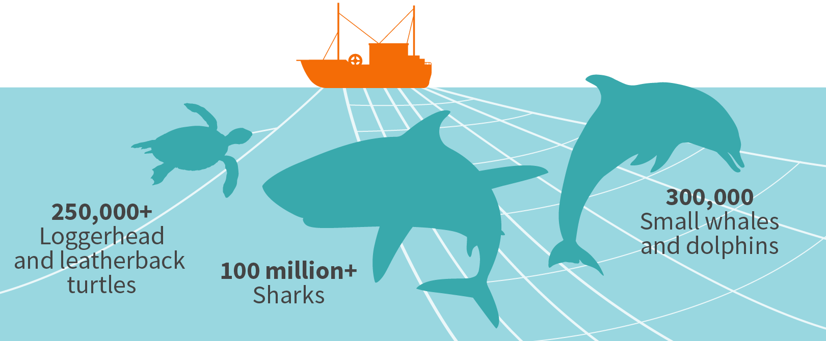 The marine cost of bycatch