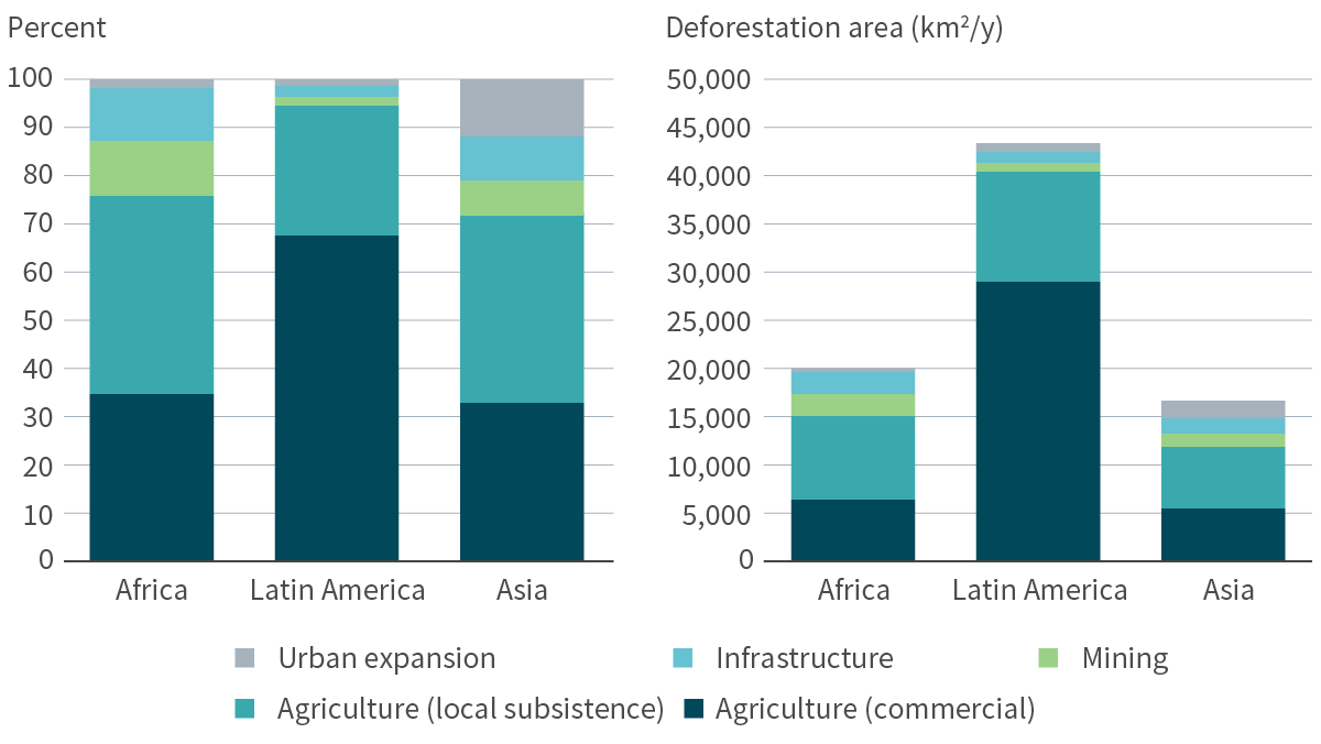 Drivers of deforestation and forest degradation