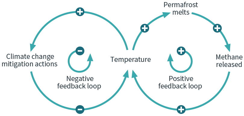 Positive and negative feedback loops
