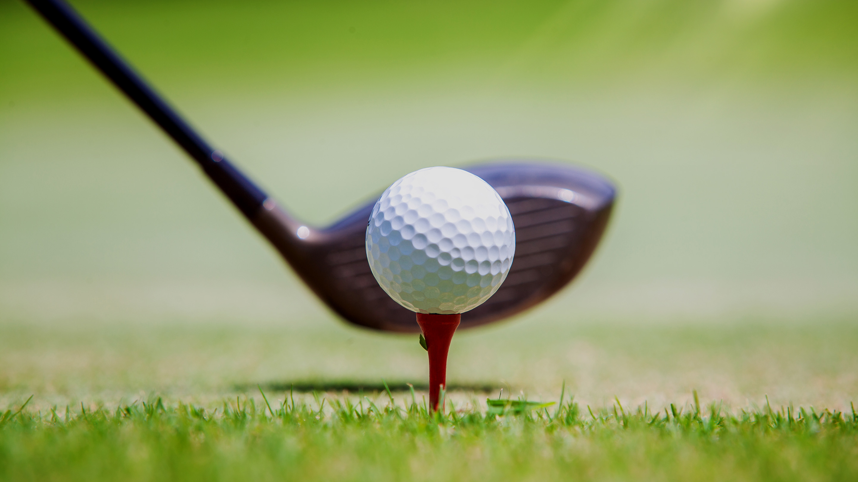 Golf ball at tee off position on green