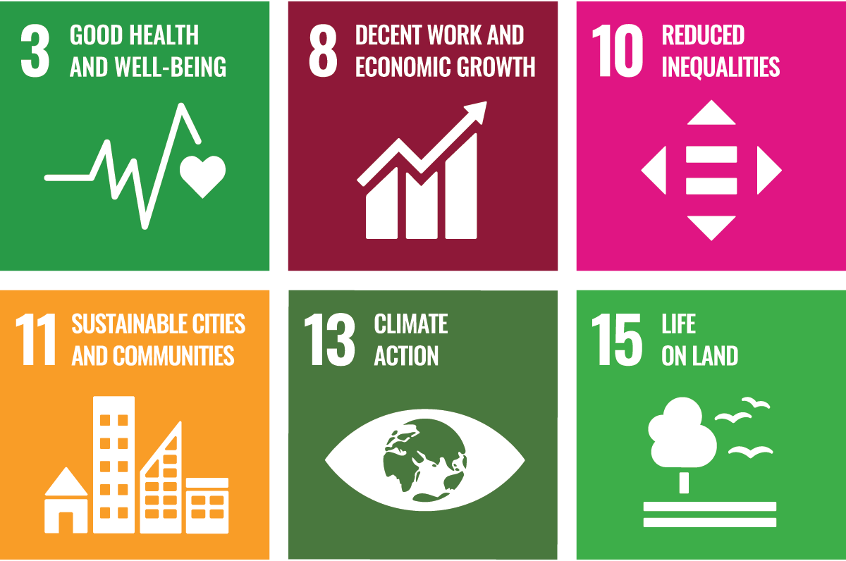 UN Sustainable Development Goals (SDGs)