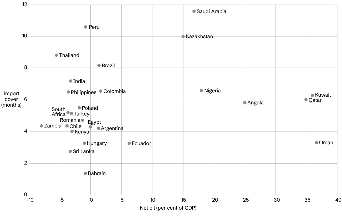 FX buffers build resilience