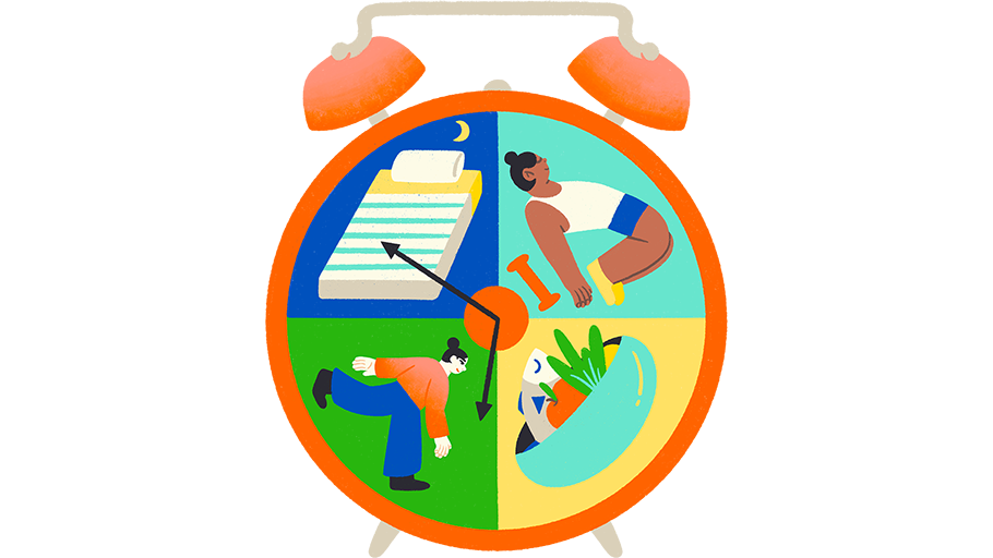 Illustration of alarm clock split into segments representing rest, exercise and nutrition