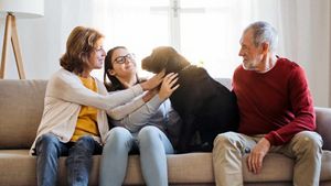 Manage Your Equity Release Plan Aviva