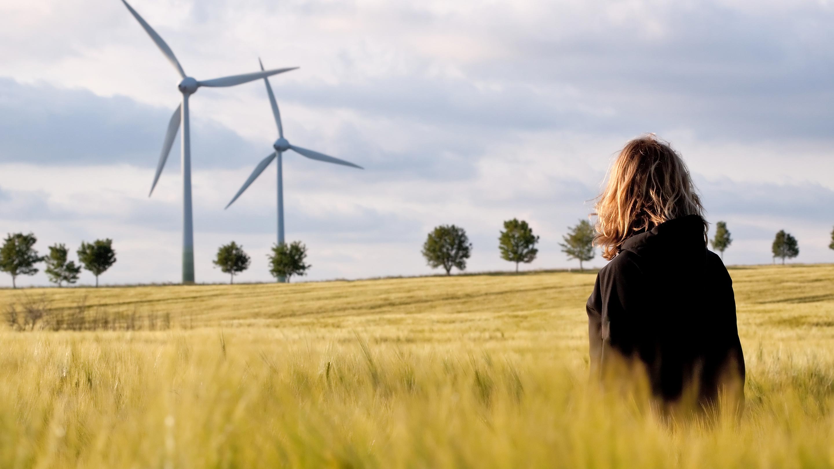 Person in a field looking at wind turbines, contemplating ethical investment decisions