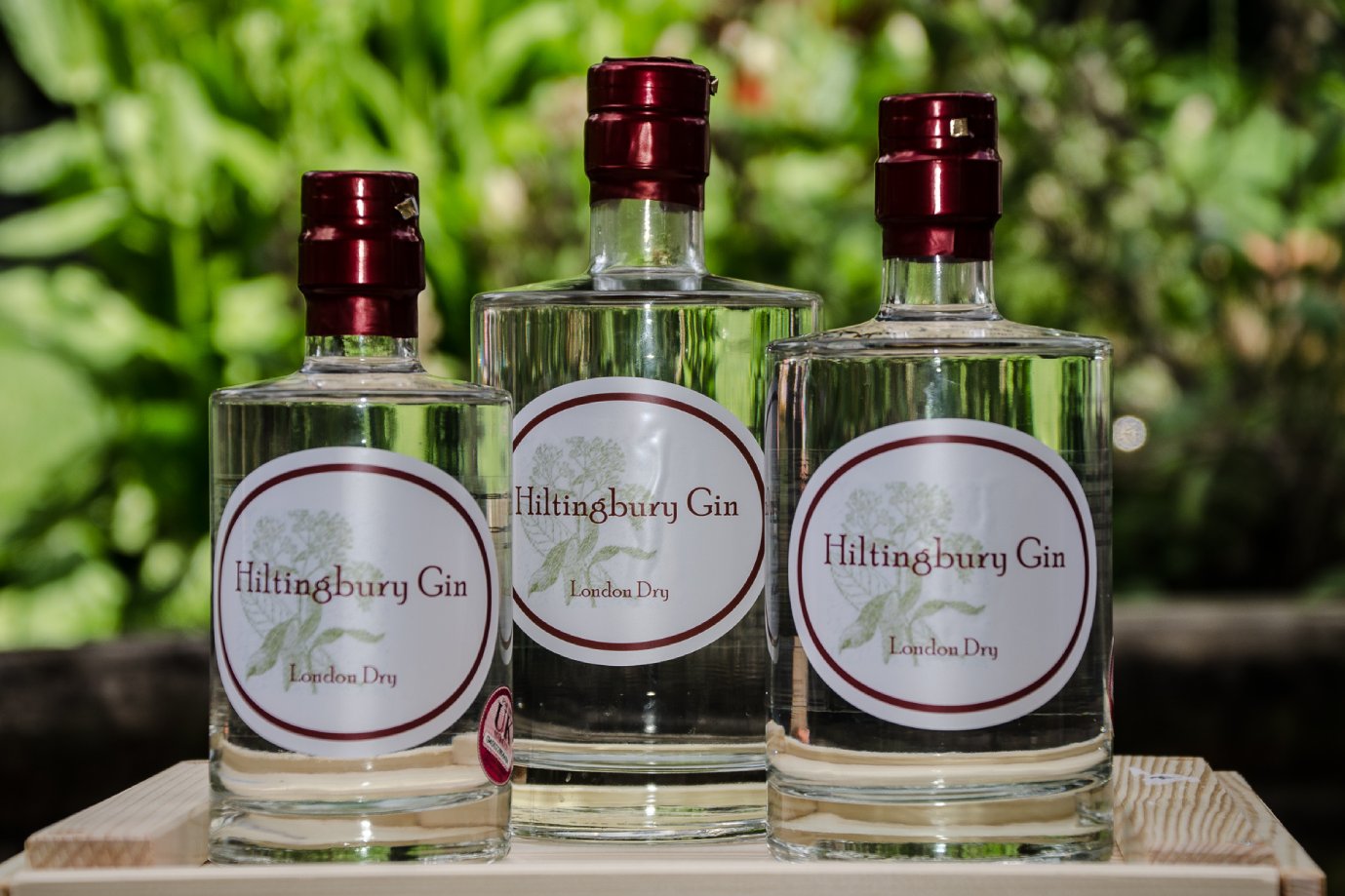 Hitlingbury Gin