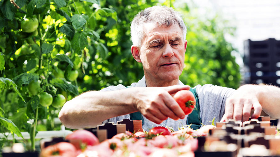 Man in garden organising home grown produce
